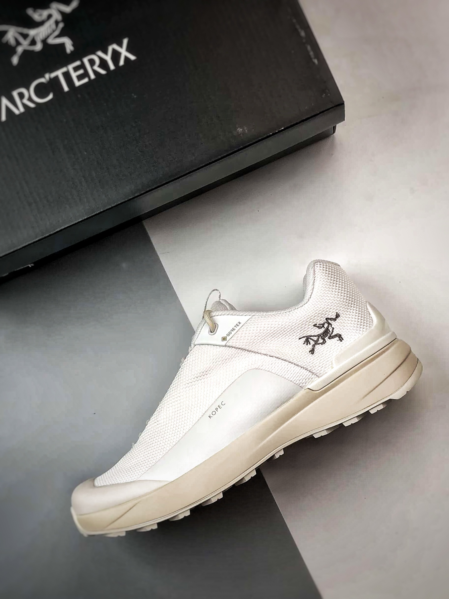 Кроссовки мужские Arc'teryx Kopec GTX Gore-Tex