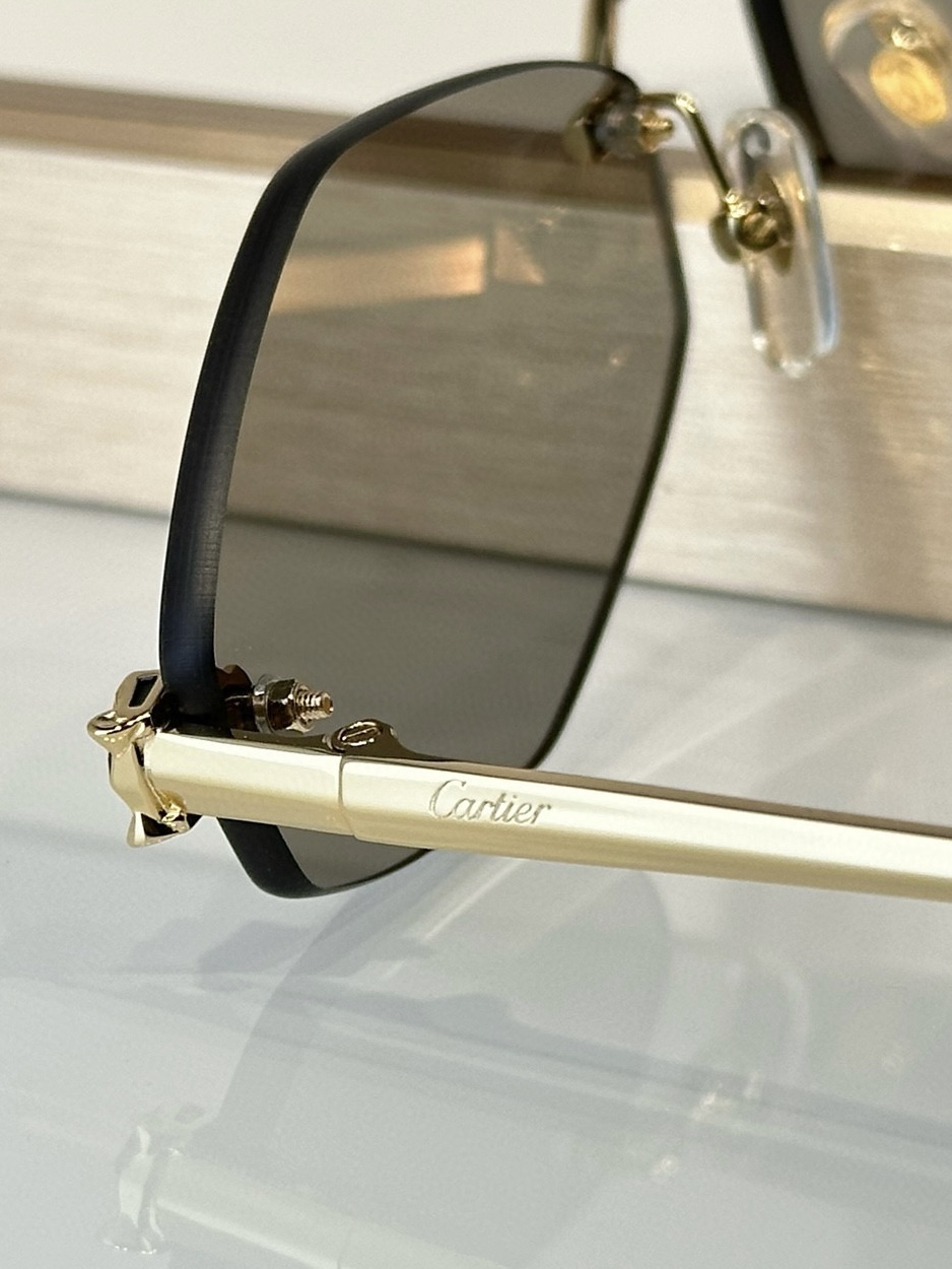  Zeiss lenses
 Cartier
Mod：CT0433S
Size：55-22-140

