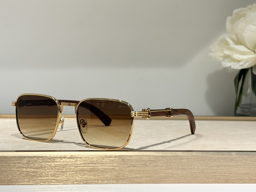  新颜色
CARTIER
CT0363s 
size54口21-145
