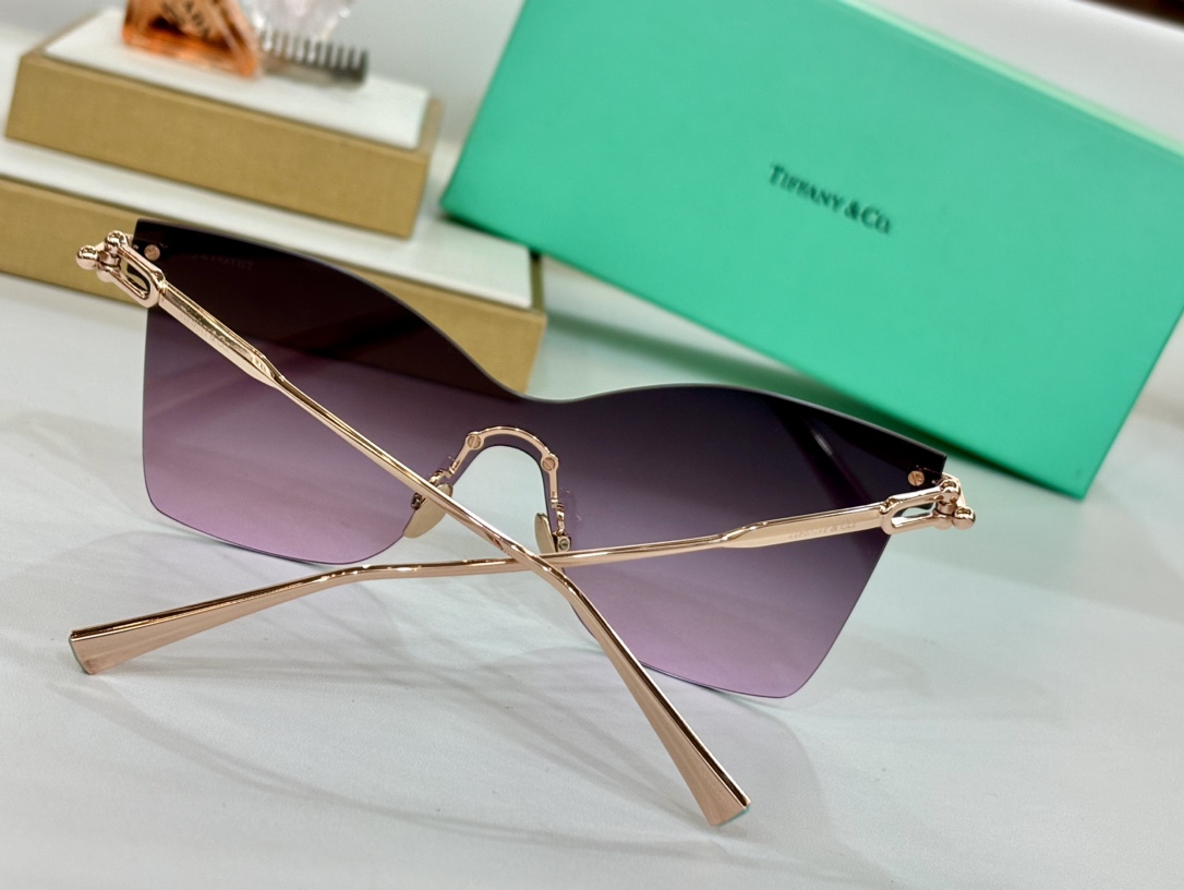 Tiffany&Co.OversizedModTF3103KSize:143-0-140原版配色