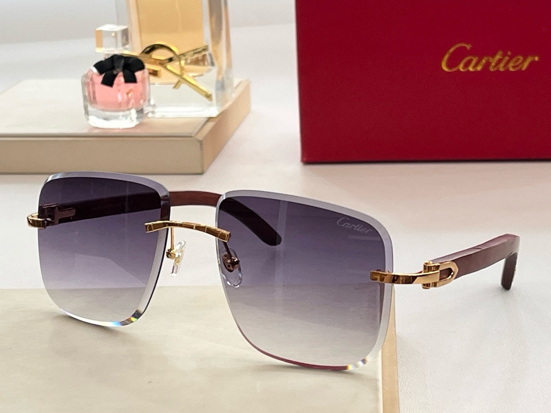 CARTIER*Mod:CT00520Size:59-14-150