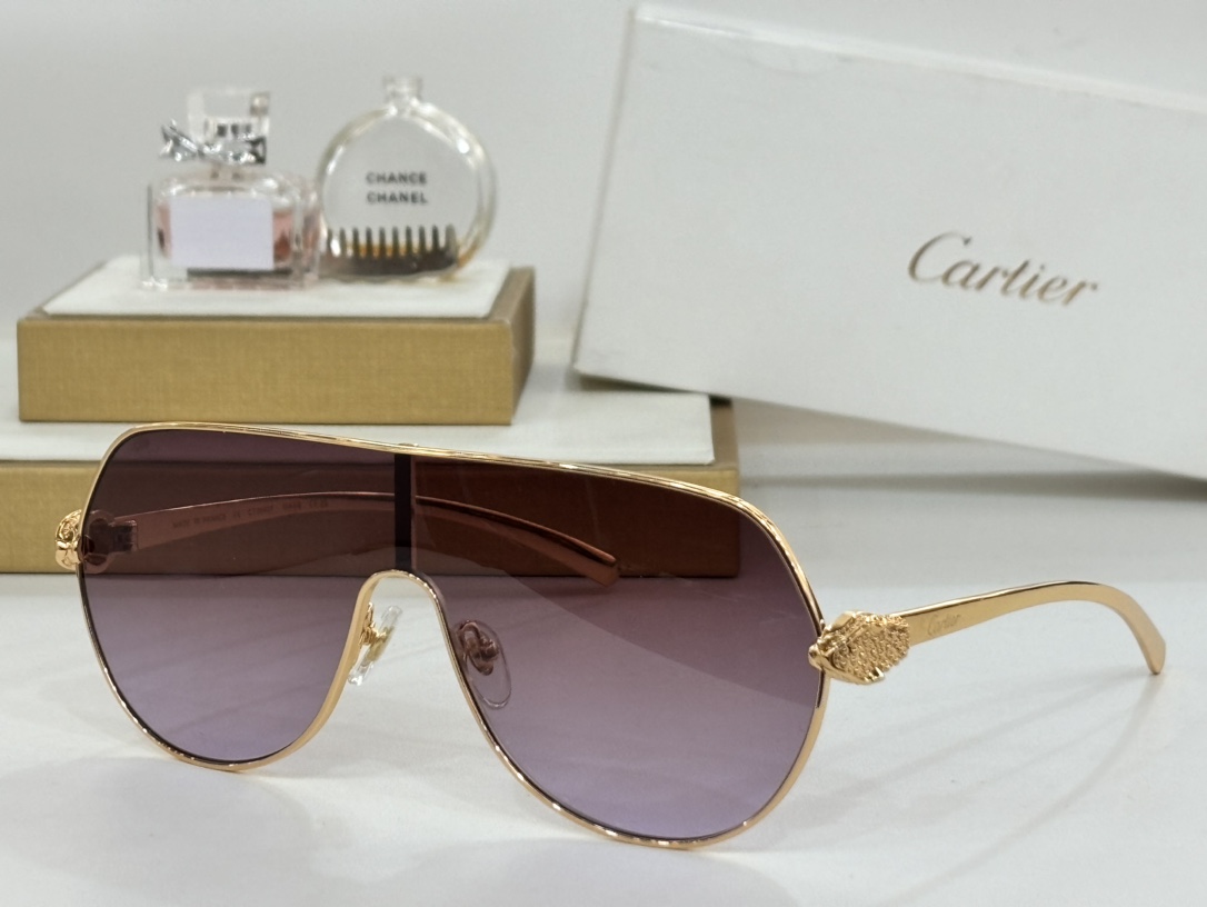 CARTIERMOD:CT0643Size:135-0