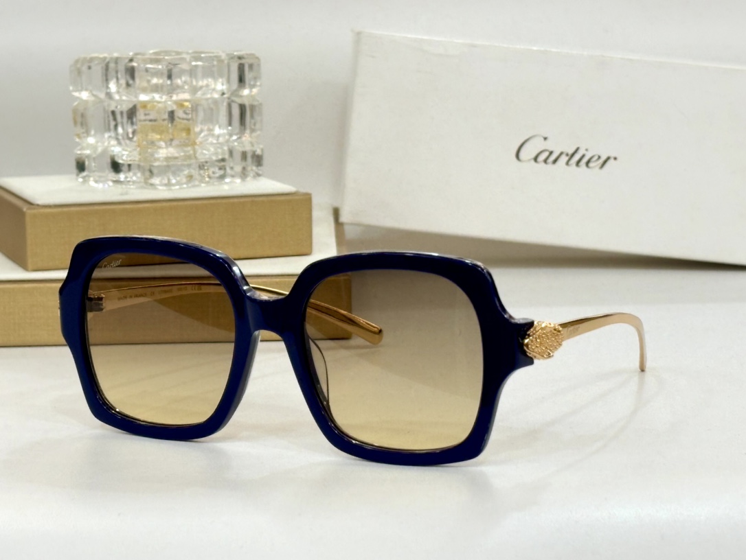Cartie*MODELCT0646SSIZE:53口19-130