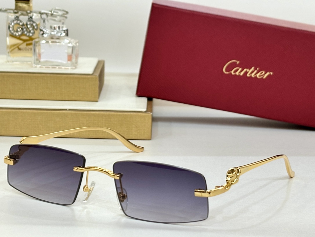 CARTIERMOD:CT0505Size:58-16-135