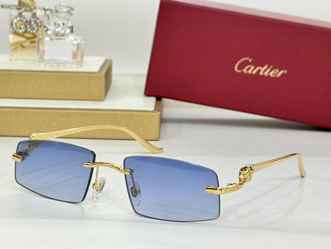 CARTIERMOD:CT0505Size:58-16-135
