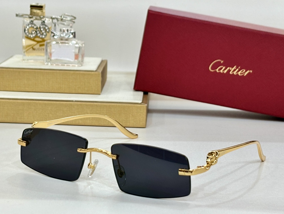 CARTIERMOD:CT0505Size:58-16-135