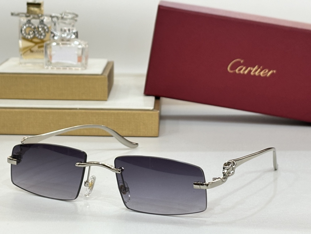 CARTIERMOD:CT0505Size:58-16-135