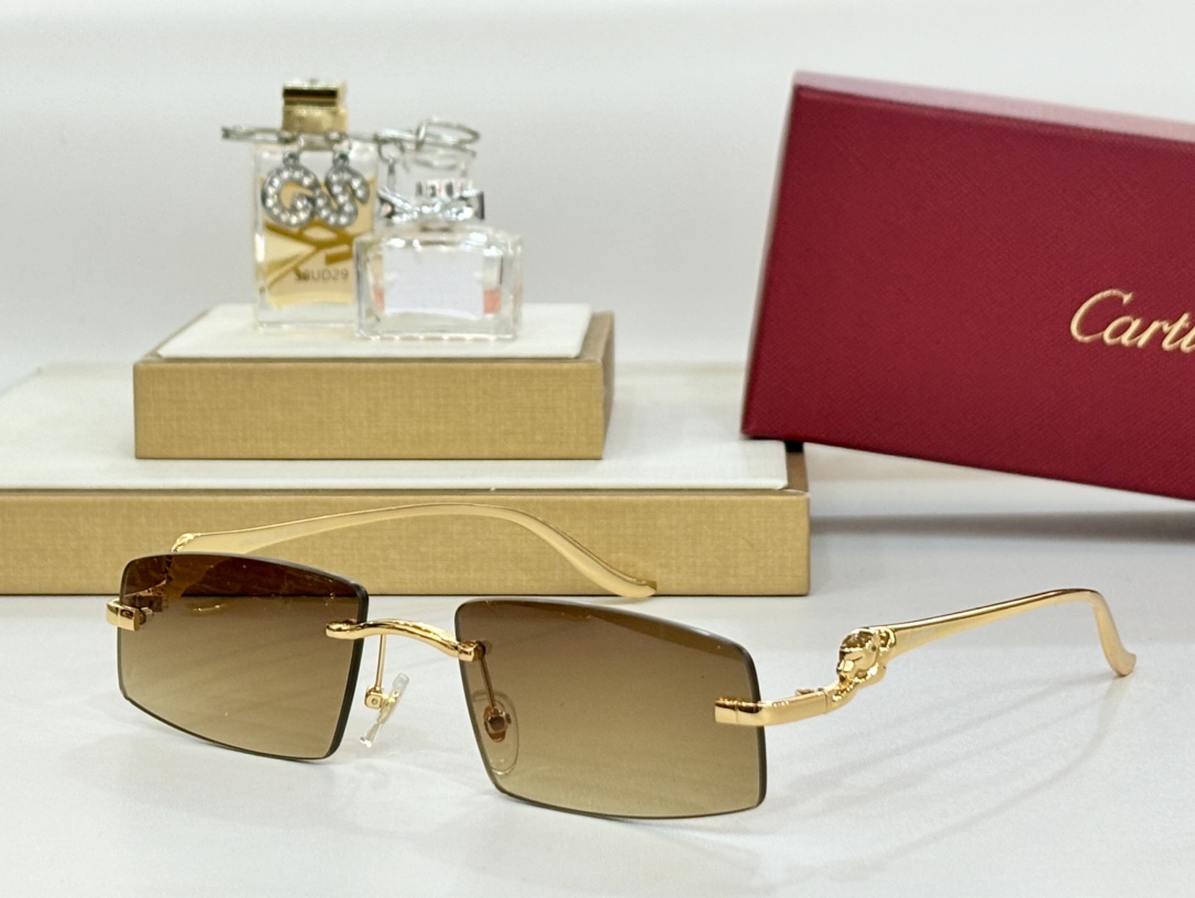 CARTIERMOD:CT0505Size:58-16-135