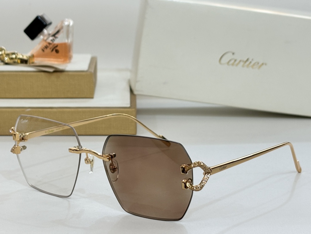Cartie*MODELCT0577SIZE:60口16-140变色墨镜