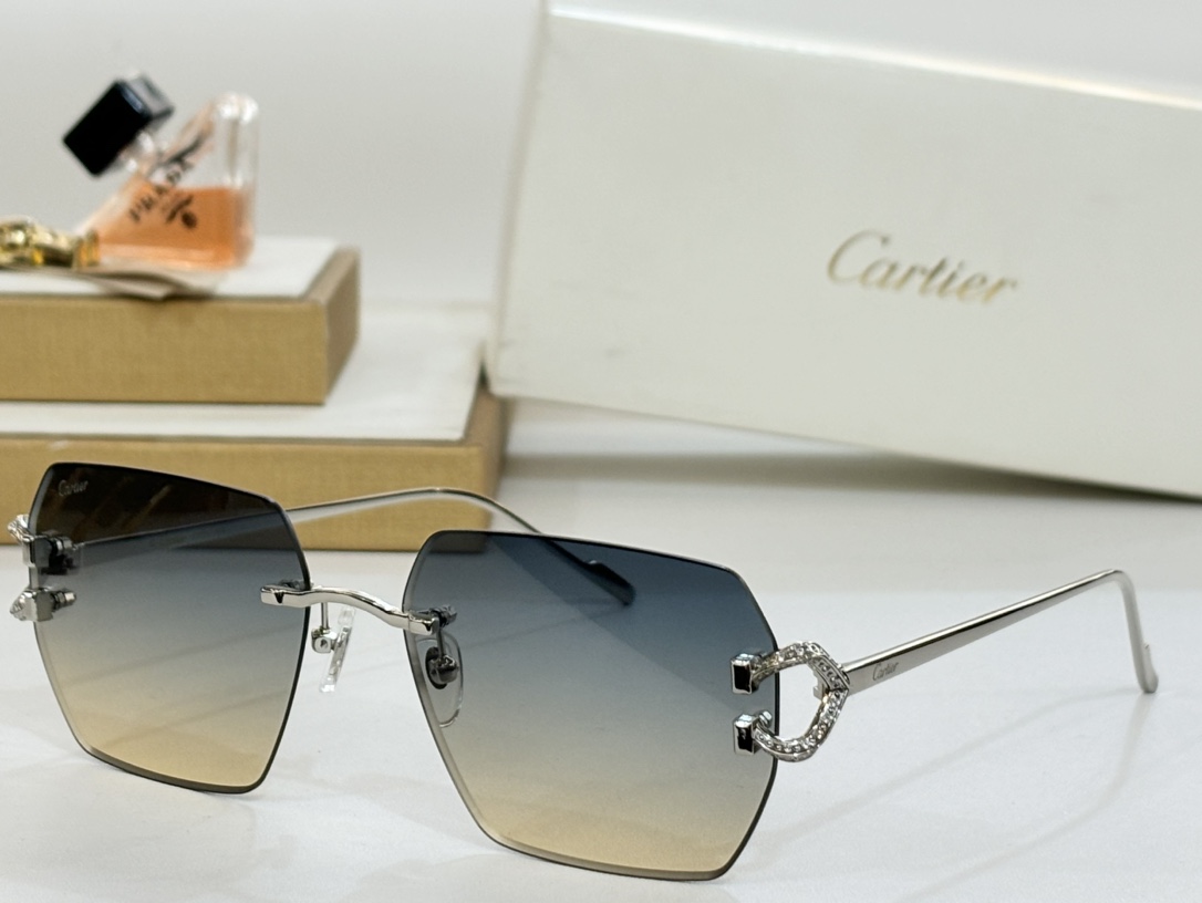 Cartie*MODELCT0577SIZE:60口16-140变色墨镜