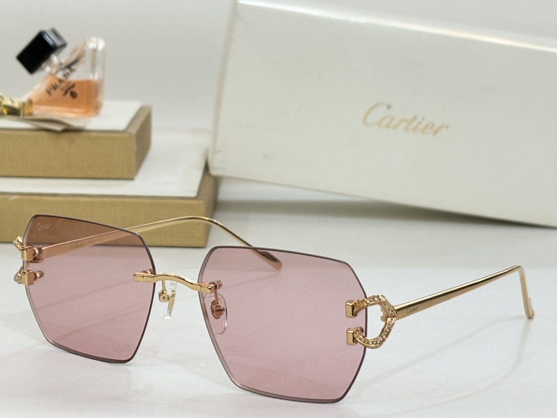 Cartie*MODELCT0577SIZE:60口16-140变色墨镜