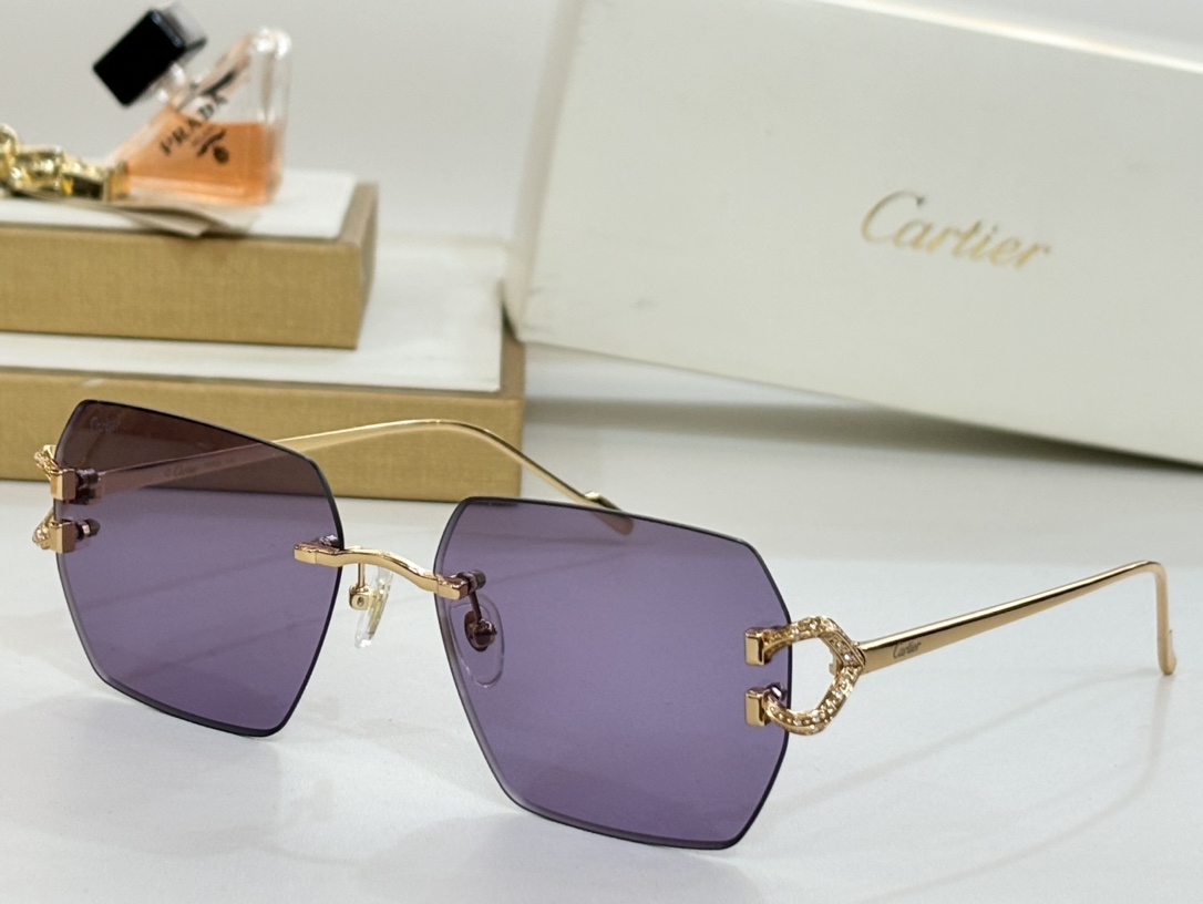 Cartie*MODELCT0577SIZE:60口16-140变色墨镜