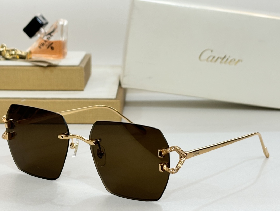 Cartie*MODELCT0577SIZE:60口16-140变色墨镜