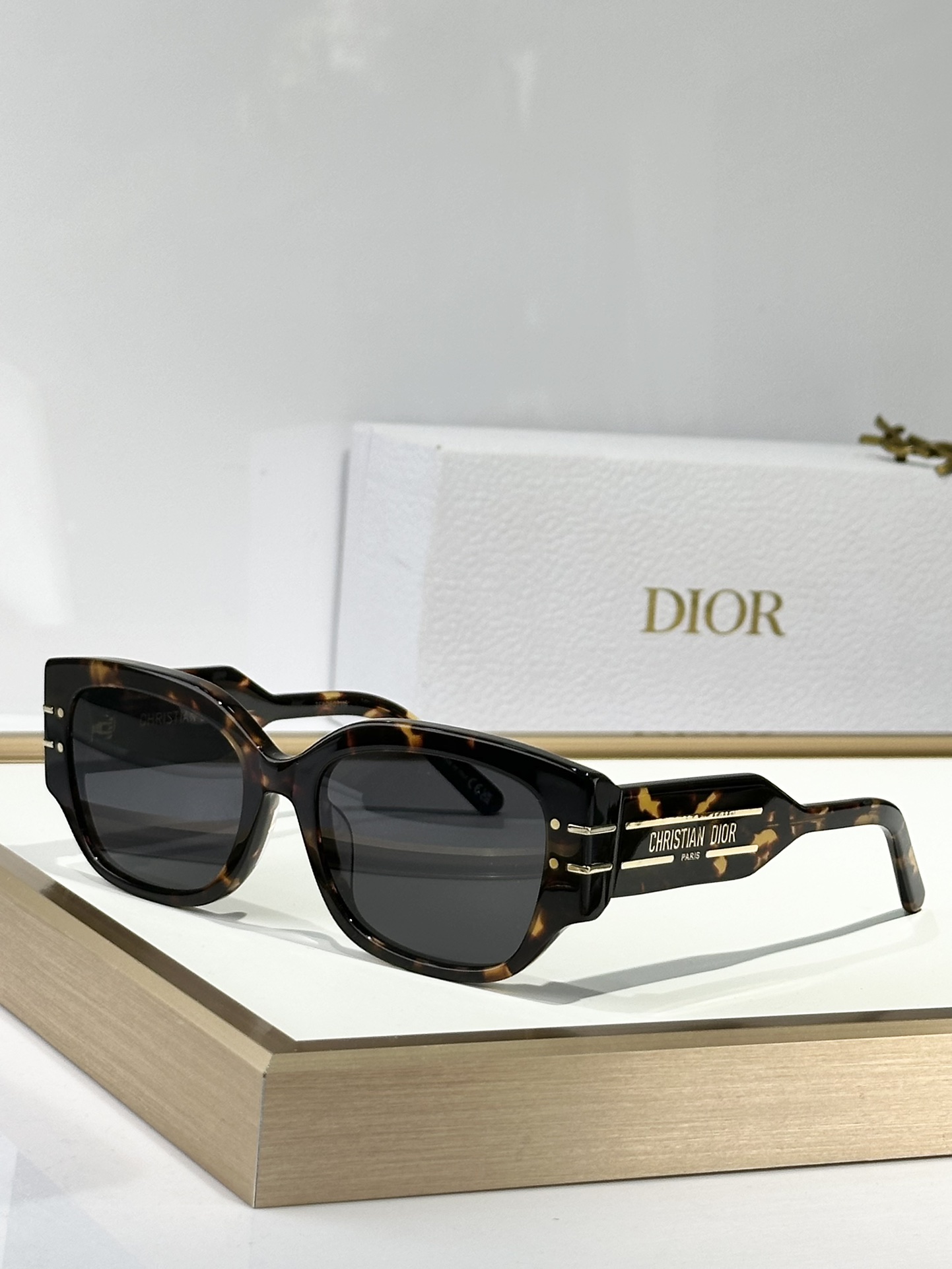  DIOR
MODSignature S13F 
Size55口18-140
