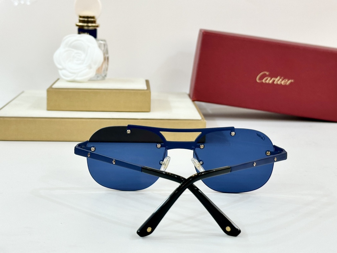  Cartier
MOD：CT00676
Size：56口18-143

