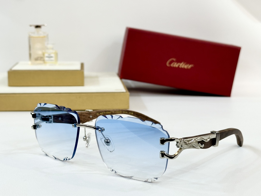 Cartie*
MODEL：CT0593S
SIZE 135
变色
墨镜