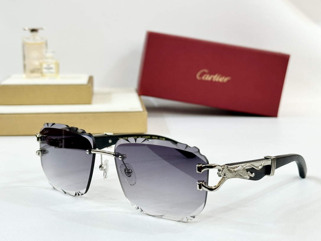 Cartie*
MODEL：CT0593S
SIZE 135
变色
墨镜