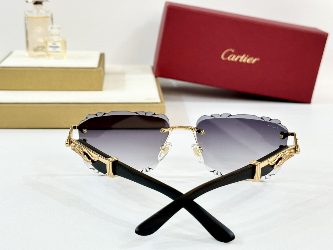 Cartie*
MODEL：CT0593S
SIZE 135
变色
墨镜