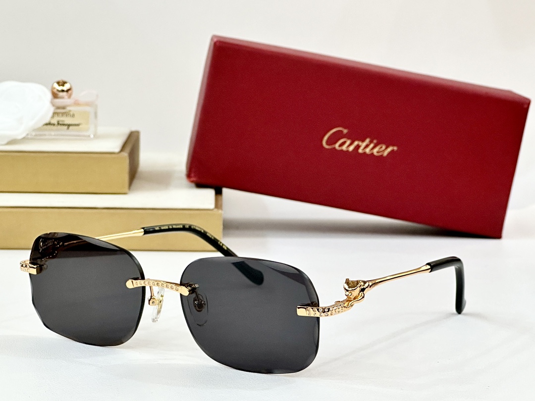  Cartier
MOD：CT0687S
Size：57口17 145
