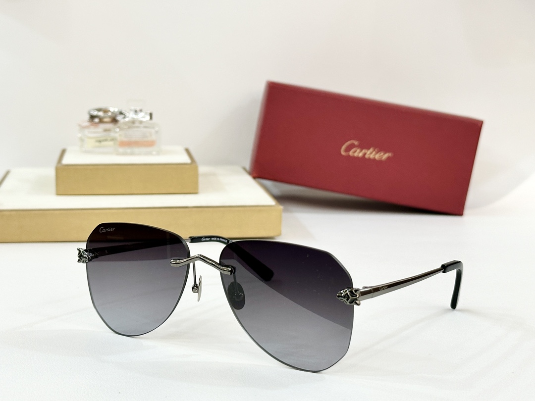  Cartier
MOD：CT0502S
Size：60口16-145

