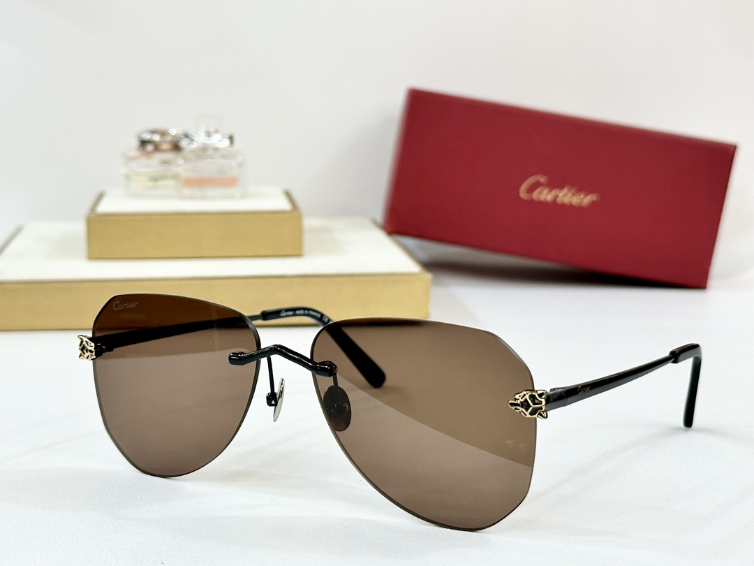  Cartier
MOD：CT0502S
Size：60口16-145
