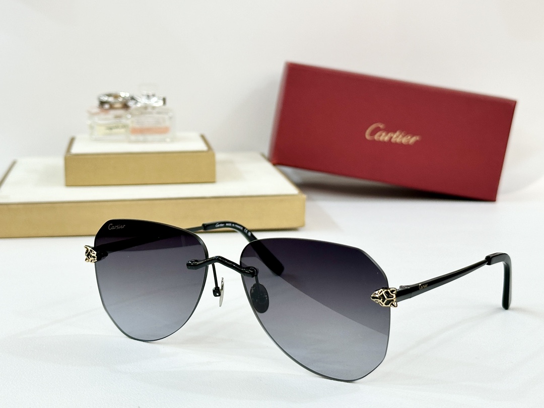  Cartier
MOD：CT0502S
Size：60口16-145
