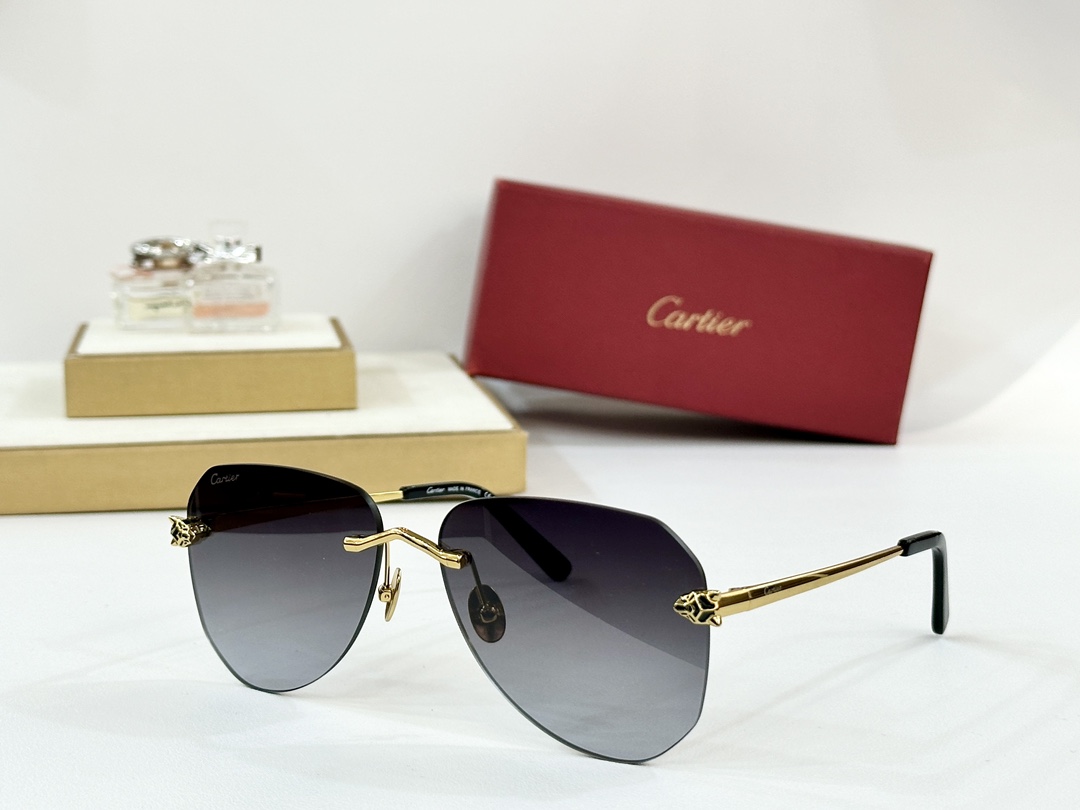  Cartier
MOD：CT0502S
Size：60口16-145
