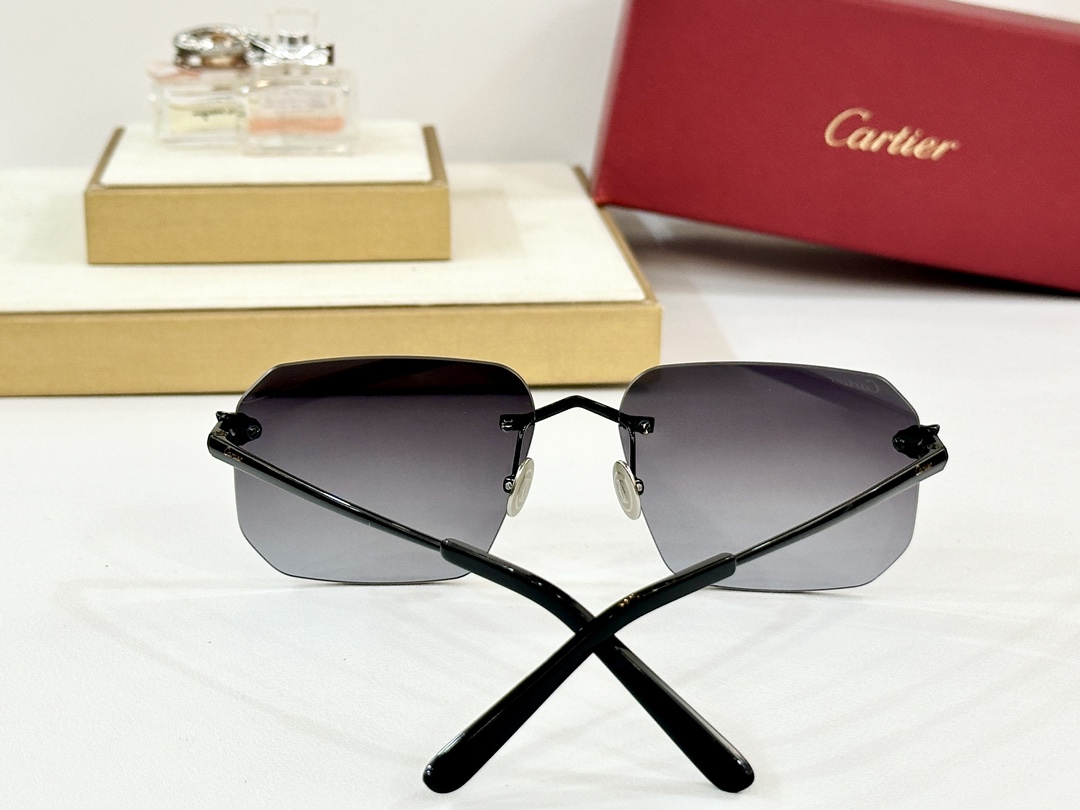  Cartier
MOD：CT0503S
Size：60口17-145
