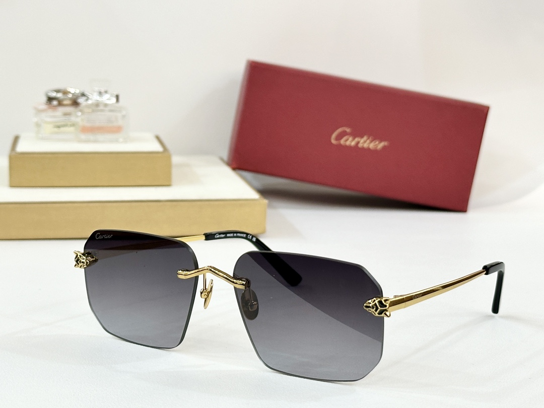  Cartier
MOD：CT0503S
Size：60口17-145
