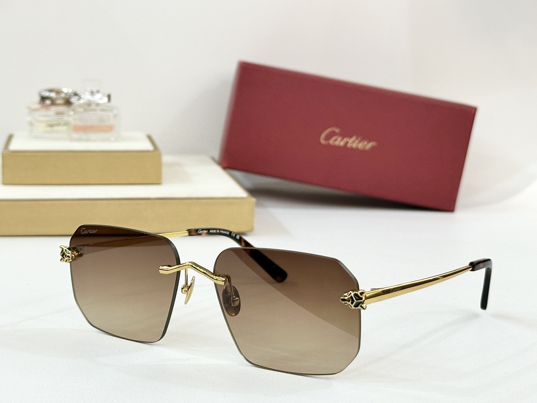  Cartier
MOD：CT0503S
Size：60口17-145

