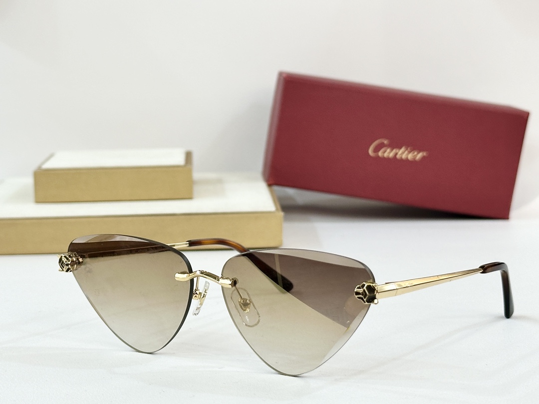  Cartier
CT0399S
size：62口15-145
