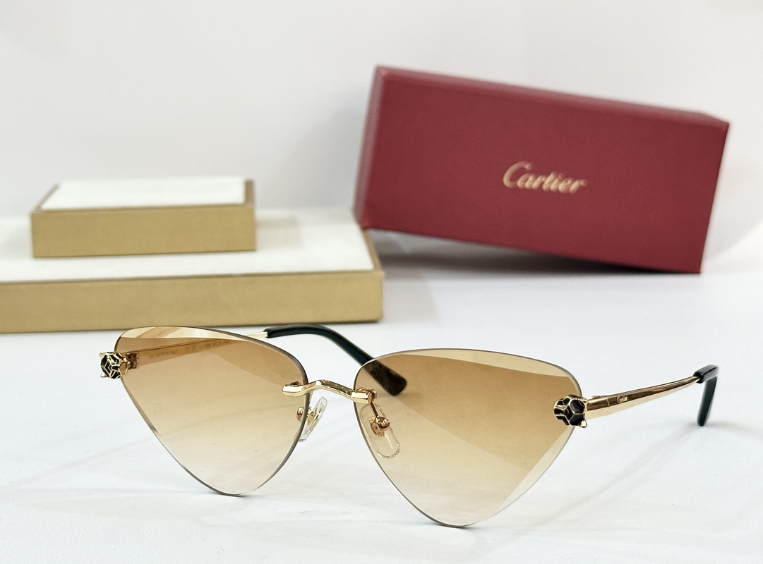  Cartier
CT0399S
size：62口15-145
