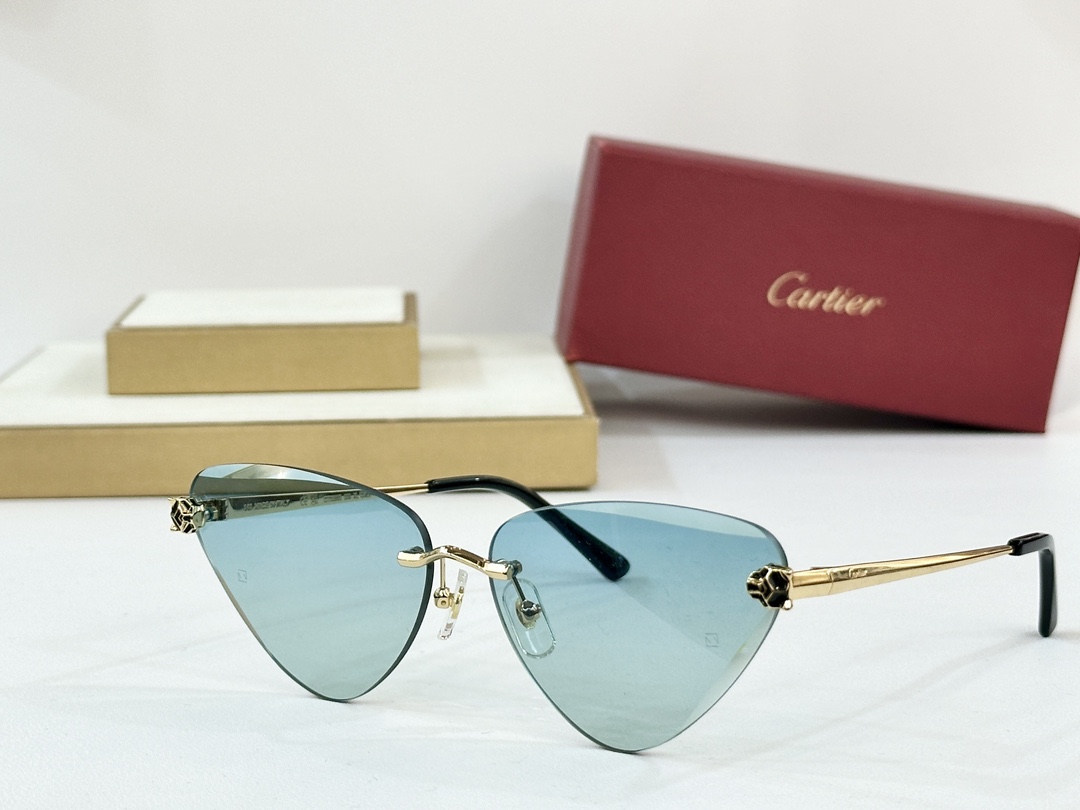  Cartier
CT0399S
size：62口15-145
