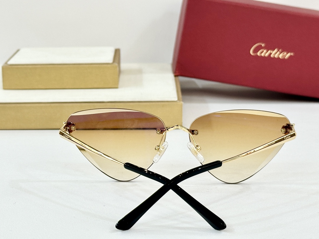  Cartier
CT0399S
size：62口15-145
