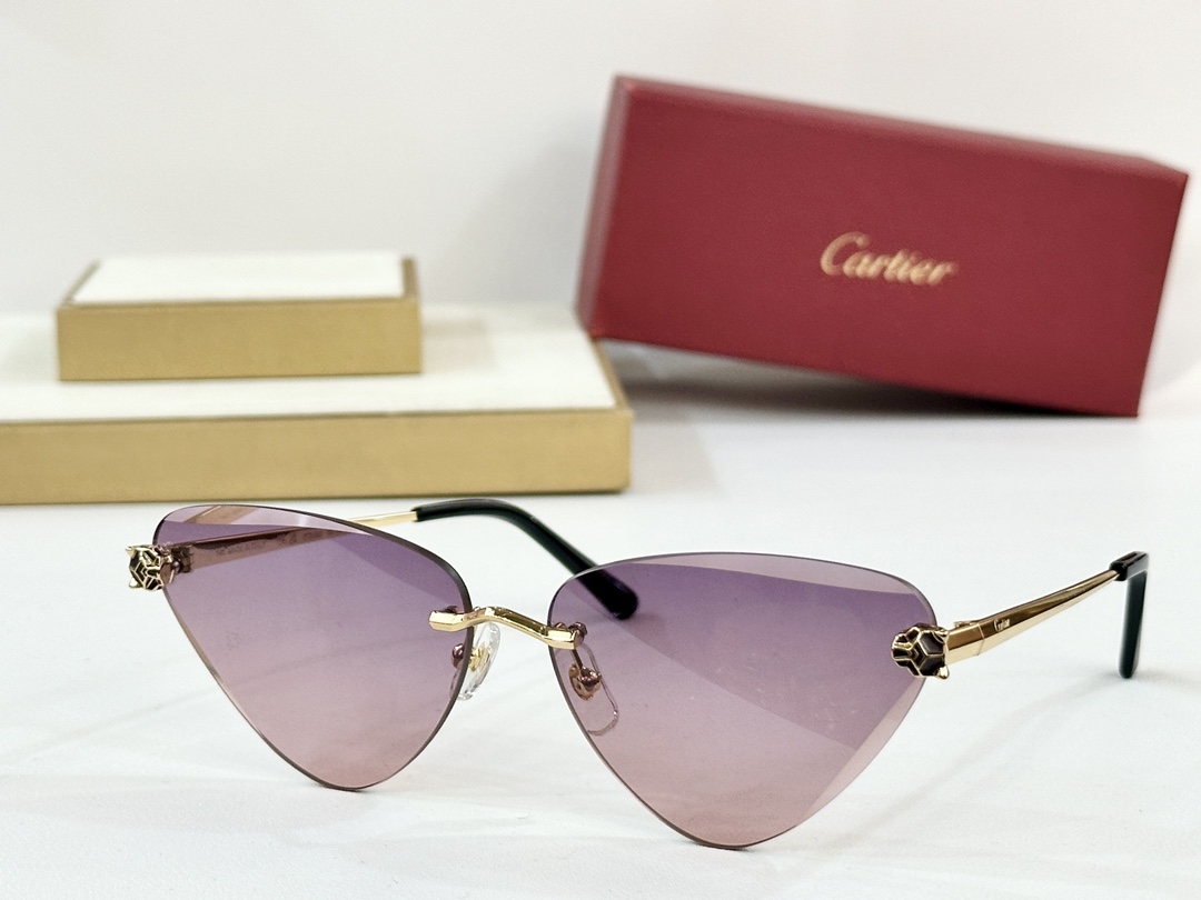  Cartier
CT0399S
size：62口15-145
