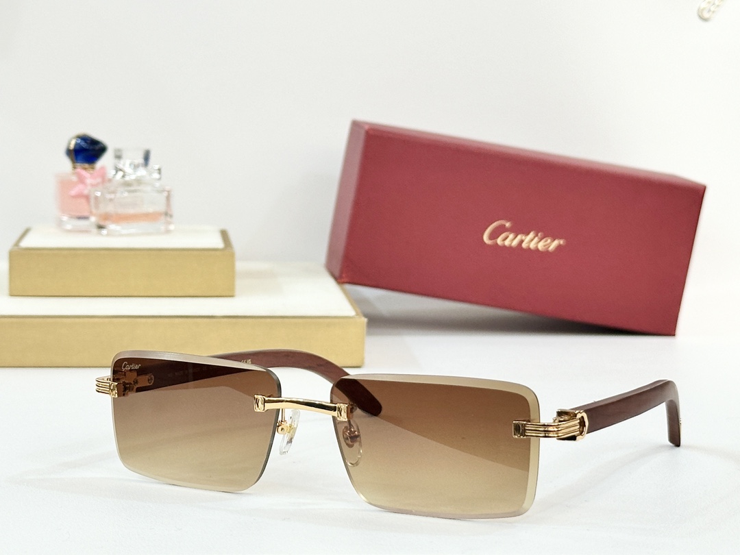  Cartie*
MODEL：CT0619S 
SIZE 55口19-130
