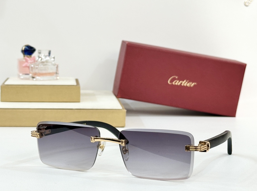  Cartie*
MODEL：CT0619S 
SIZE 55口19-130
