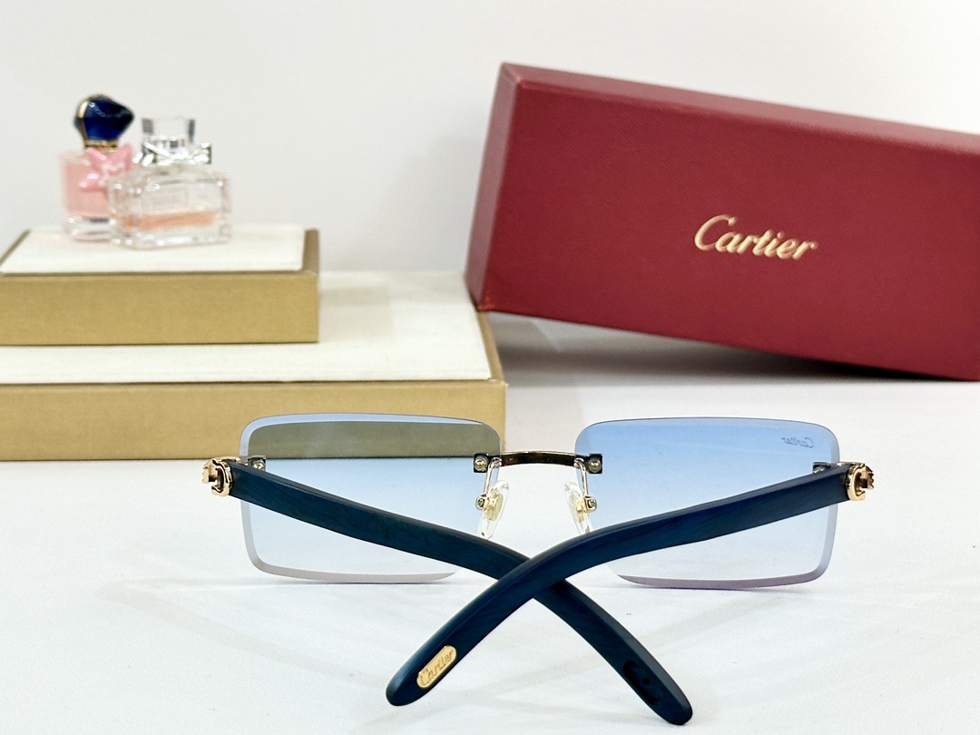  Cartie*
MODEL：CT0619S 
SIZE 55口19-130

