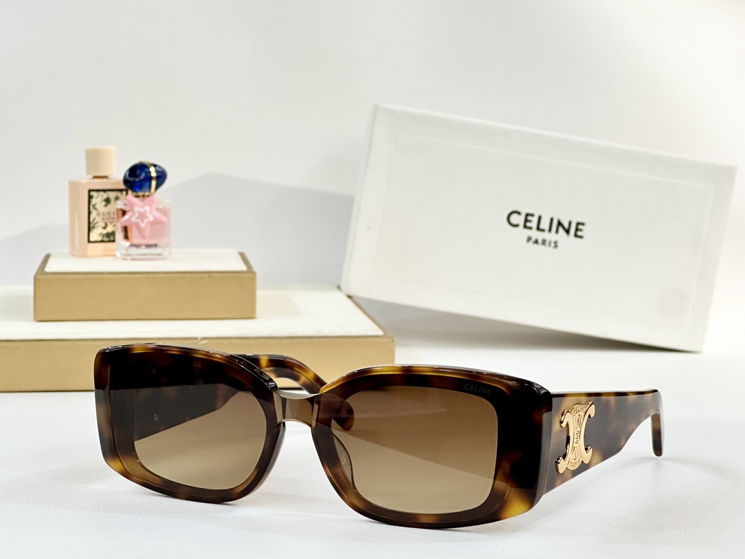  CELINE
MOD：CL42129U
Size：52口20 145

