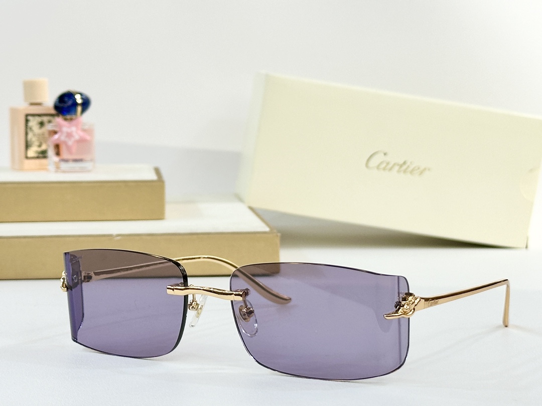  Cartier
MOD：CT0503S
Size：59口19 135

