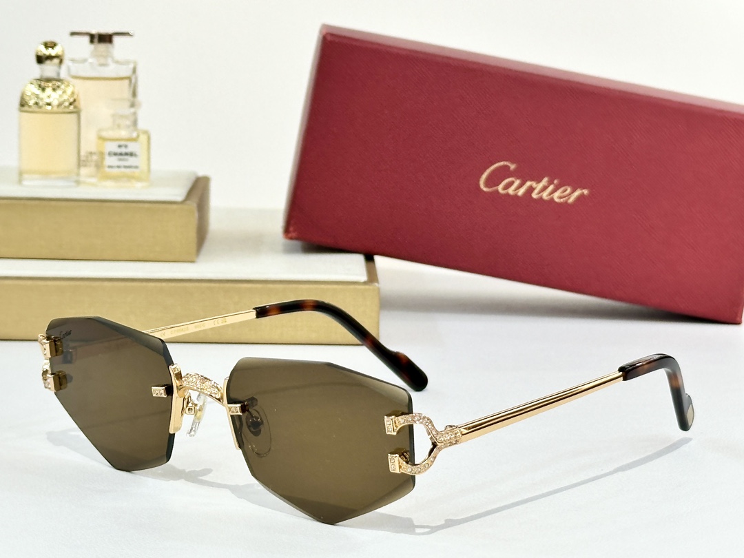 Cartier
MOD：CT0582S
Size：142
