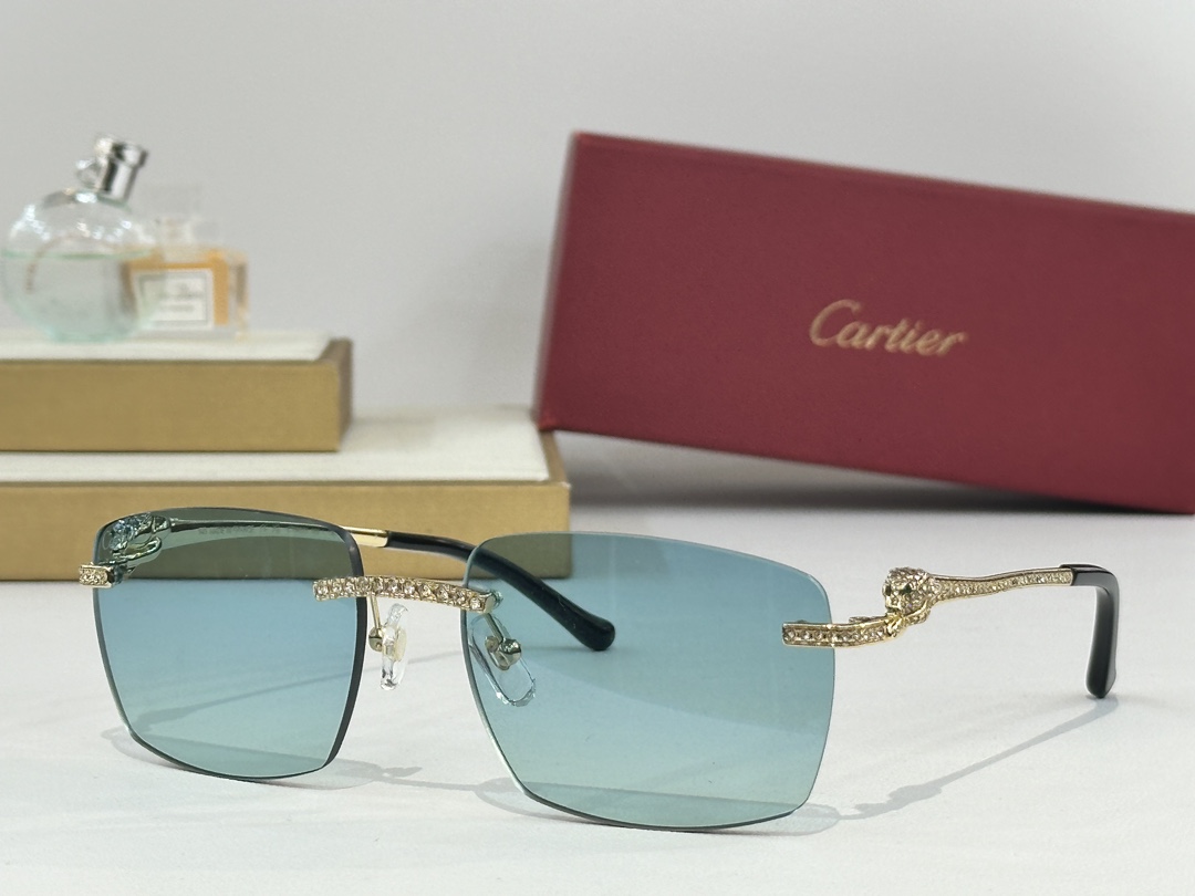 CARTIER
Mod：CT0663
Size：57-18-145
