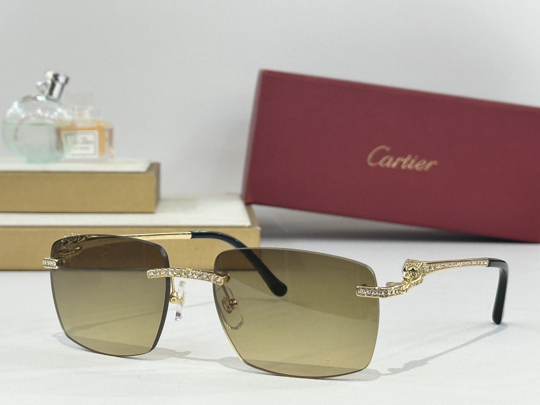  CARTIER
Mod：CT0663
Size：57-18-145
