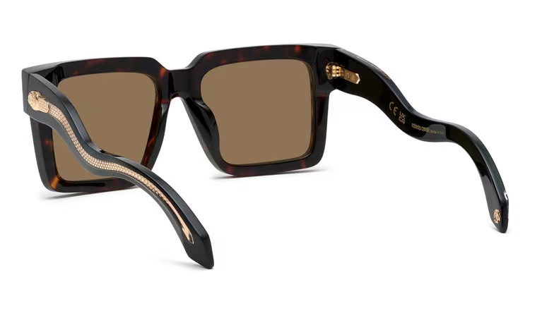  Roberto Cavalie*
MODEL：SRC055
SIZE：54口19-145
