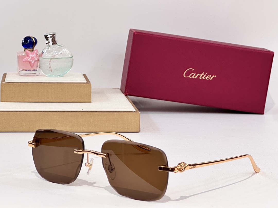  Cartier
MOD：CT0681S
Size：58口18 137
