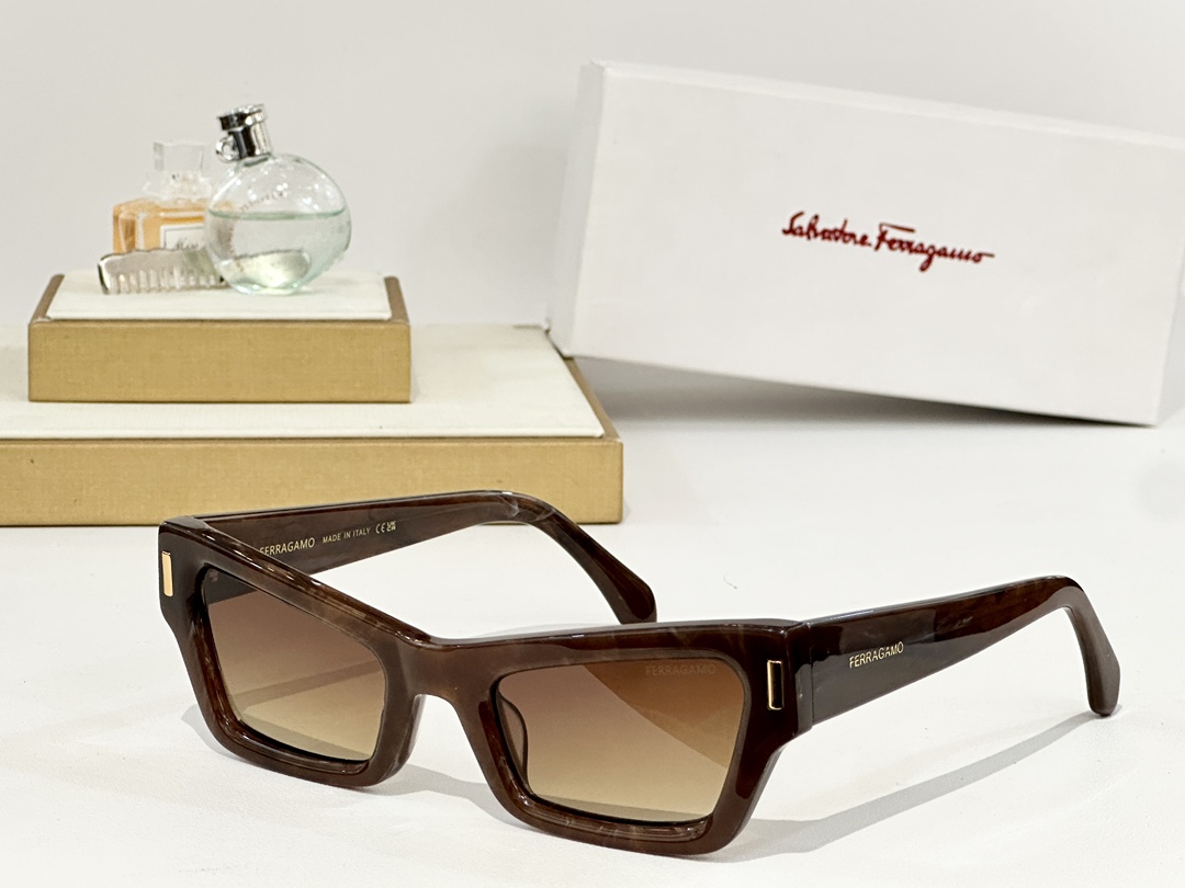  Ferragamo
MODEL：SF2006
SIZE：53口23-145
