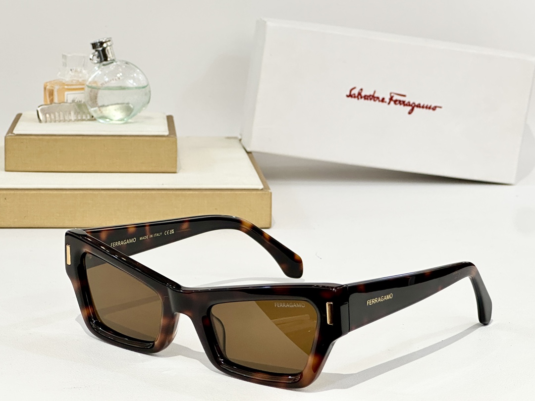  Ferragamo
MODEL：SF2006
SIZE：53口23-145
