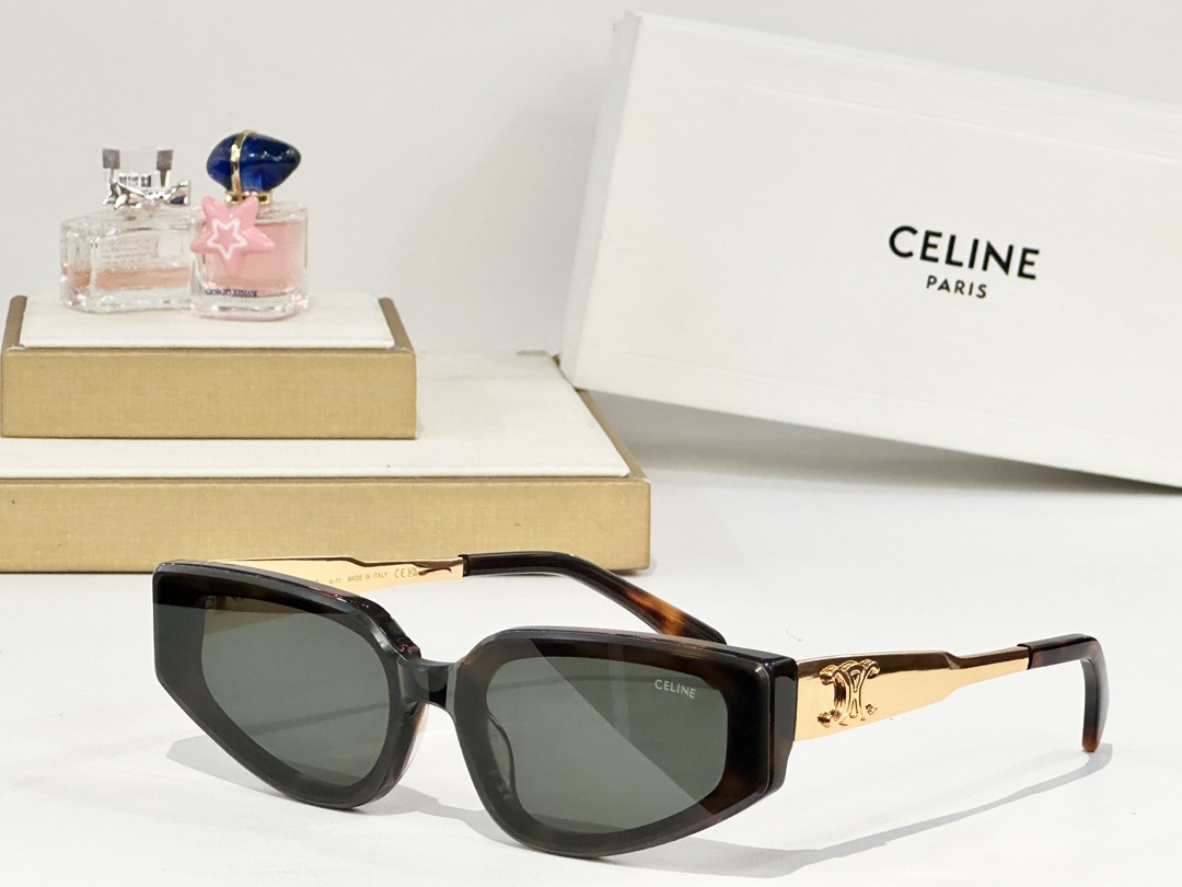    CELINE
MOD：CL42098U
Size：51口21 145
