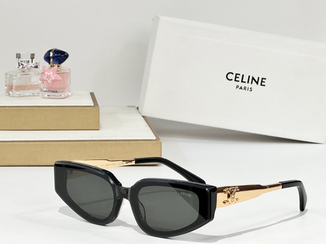    CELINE
MOD：CL42098U
Size：51口21 145
