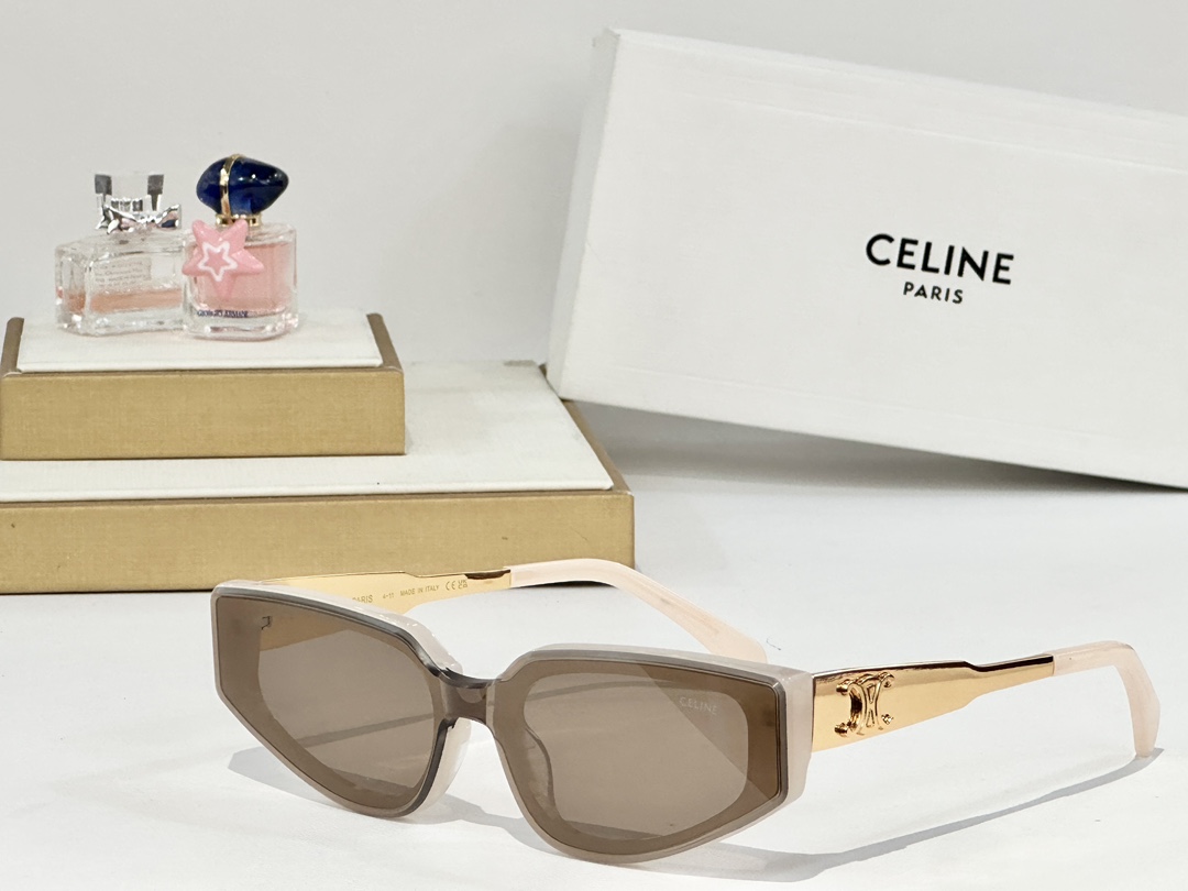    CELINE
MOD：CL42098U
Size：51口21 145

